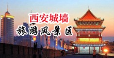 骚屄AV中国陕西-西安城墙旅游风景区